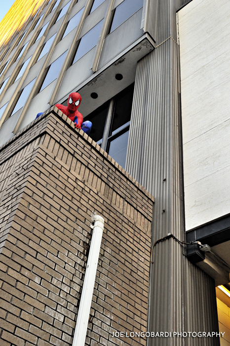 Spider-man above College Street